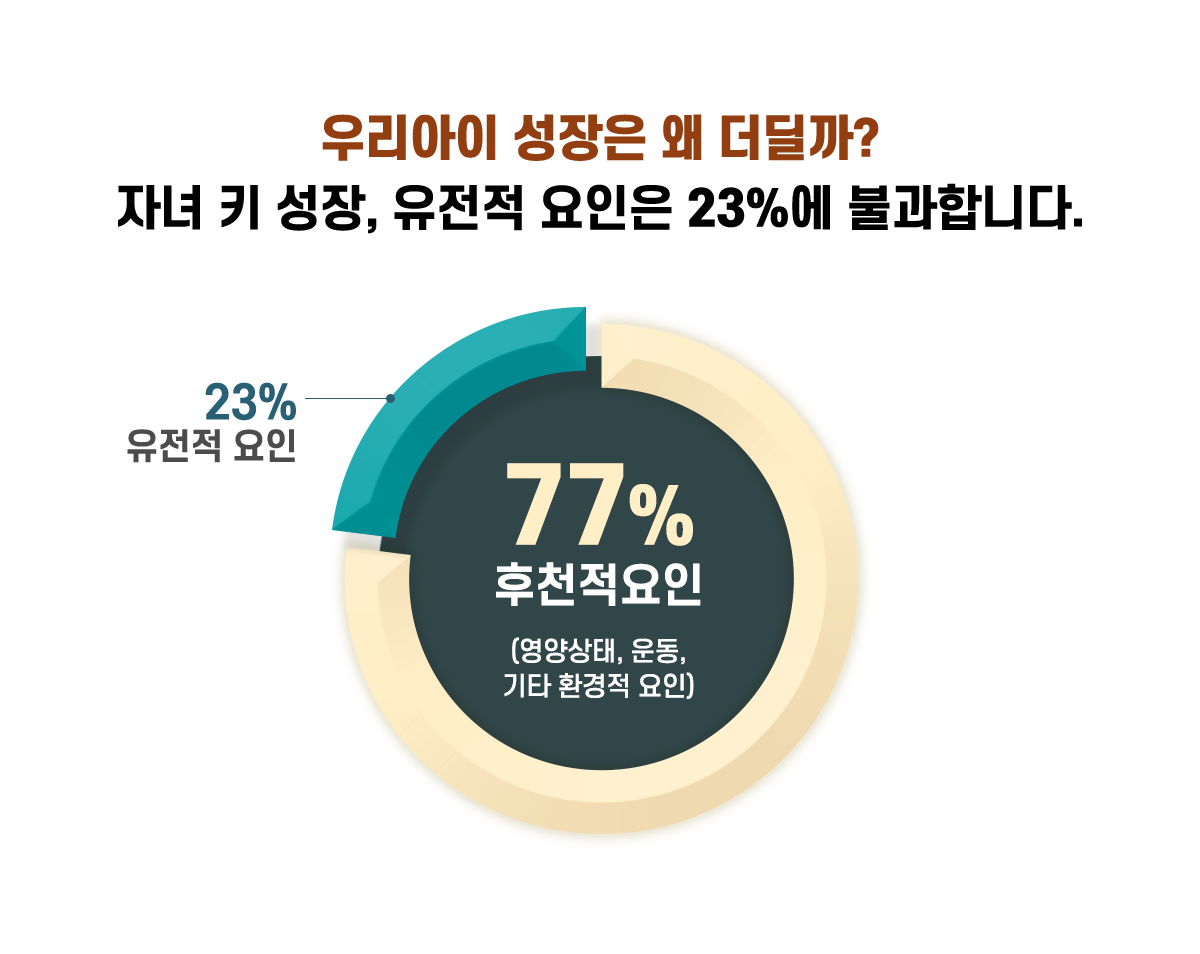 컨텐츠 이미지