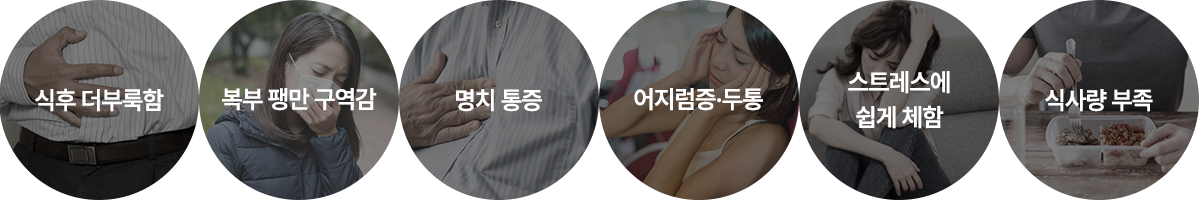 컨텐츠 이미지