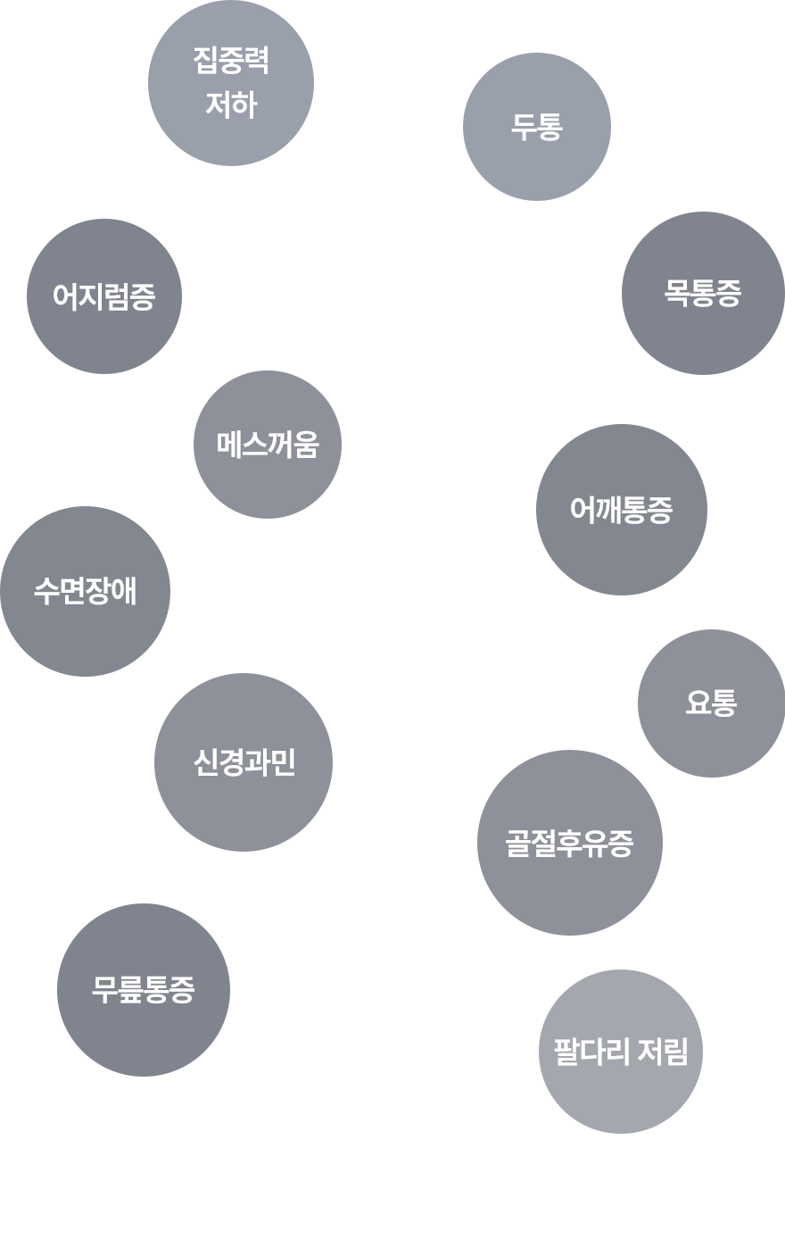 컨텐츠 이미지