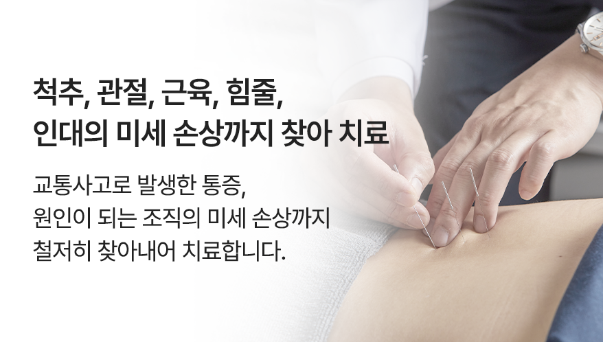 컨텐츠 이미지