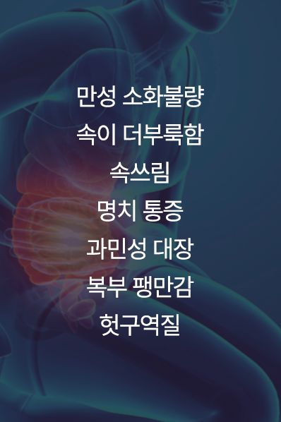 컨텐츠 이미지