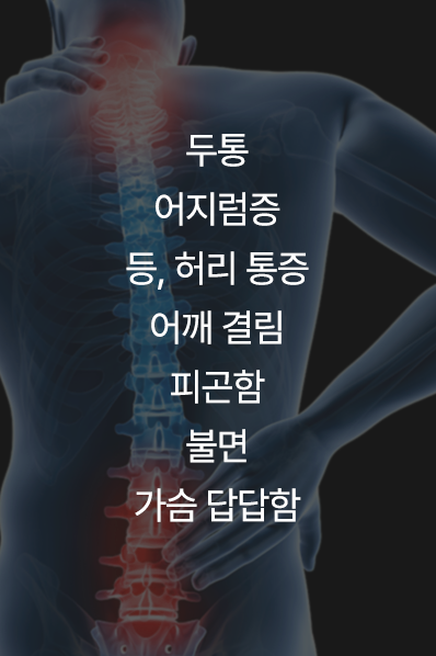 컨텐츠 이미지