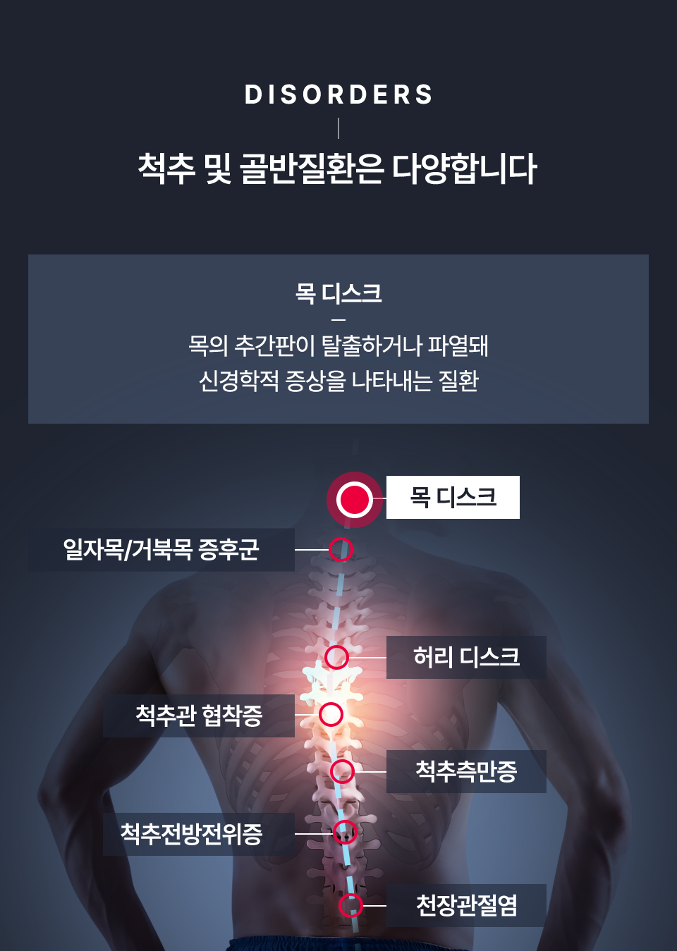 컨텐츠 이미지