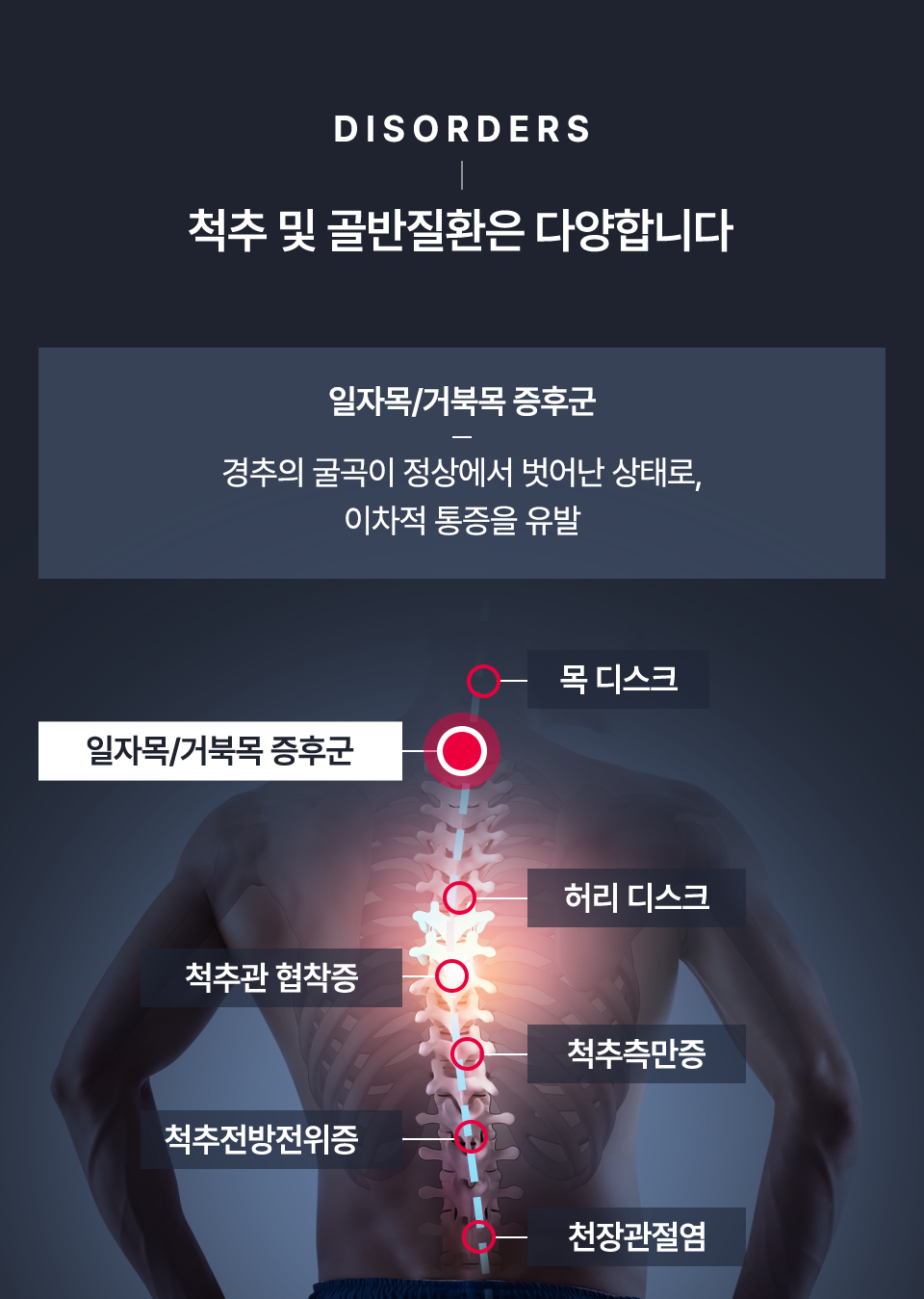 컨텐츠 이미지