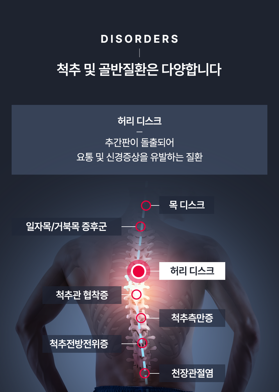 컨텐츠 이미지