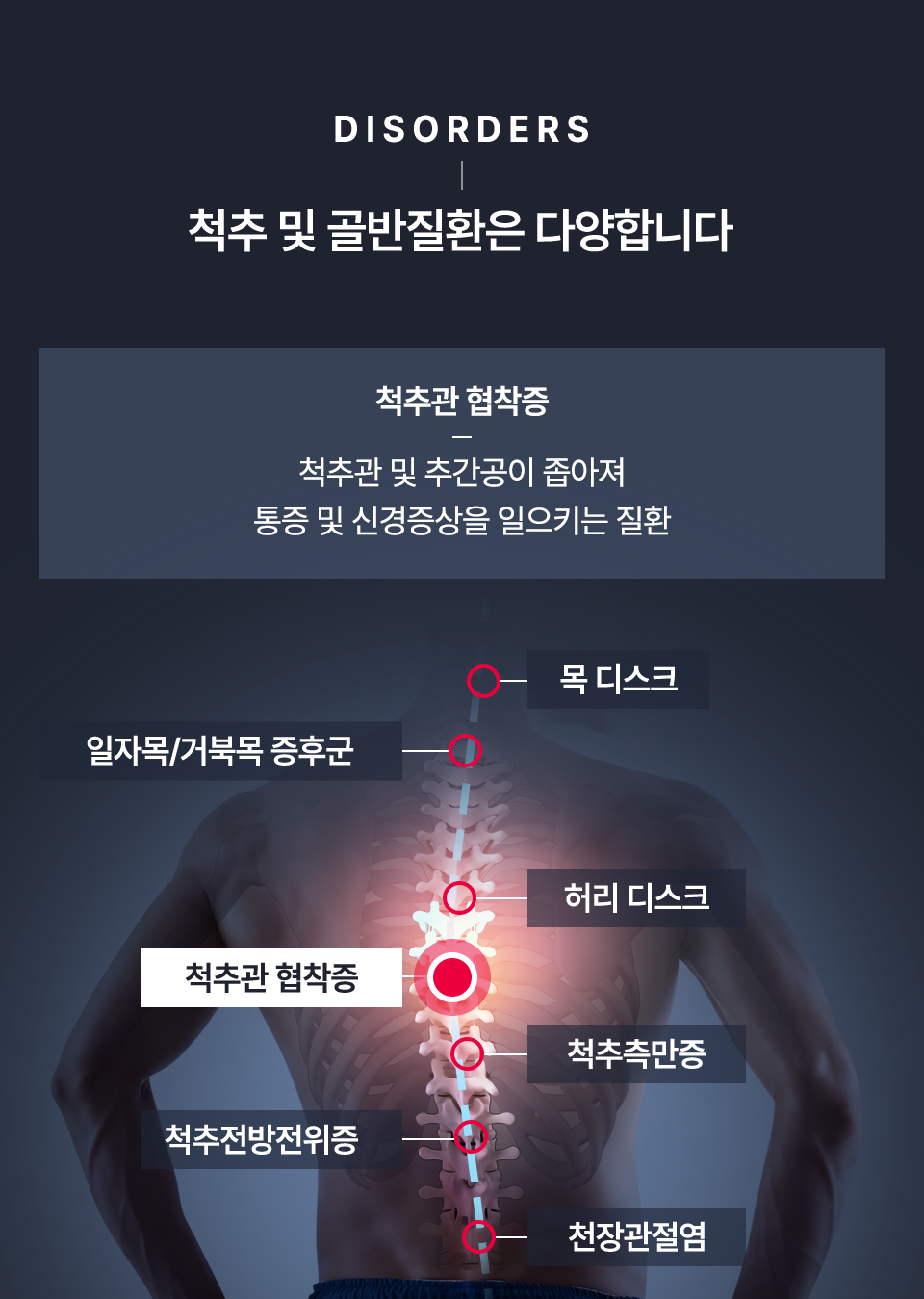 컨텐츠 이미지