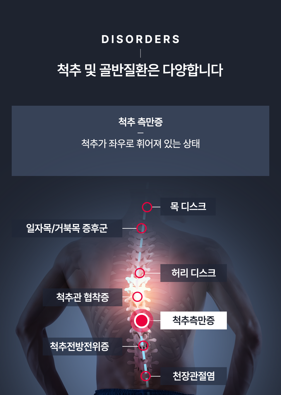 컨텐츠 이미지