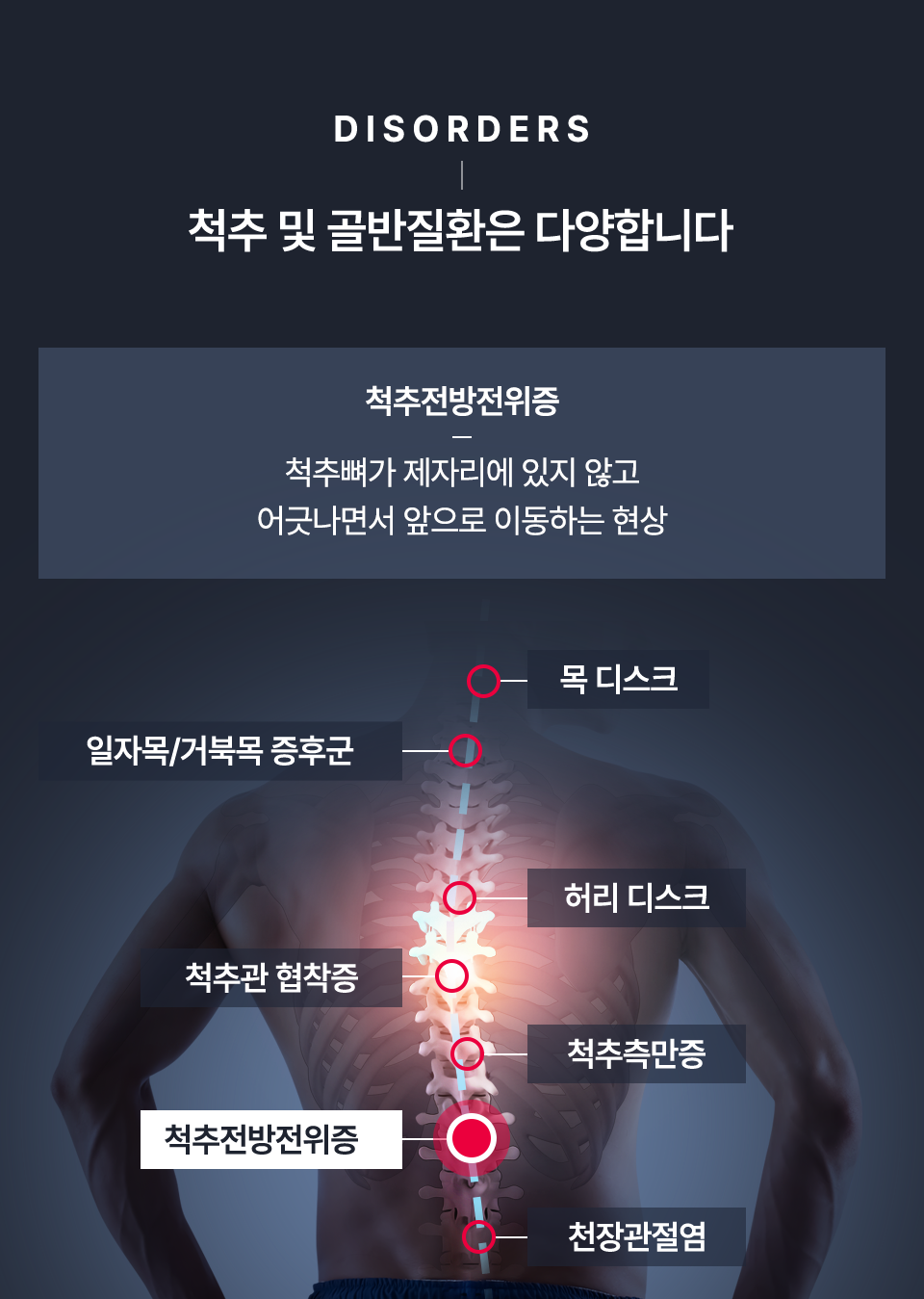 컨텐츠 이미지