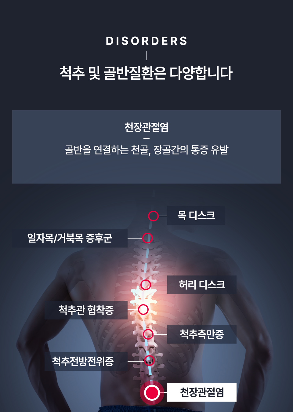 컨텐츠 이미지