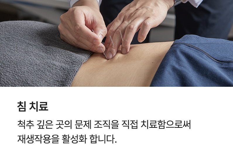 컨텐츠 이미지