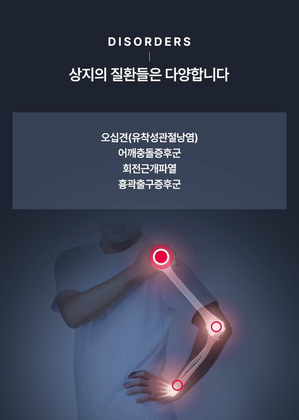 컨텐츠 이미지