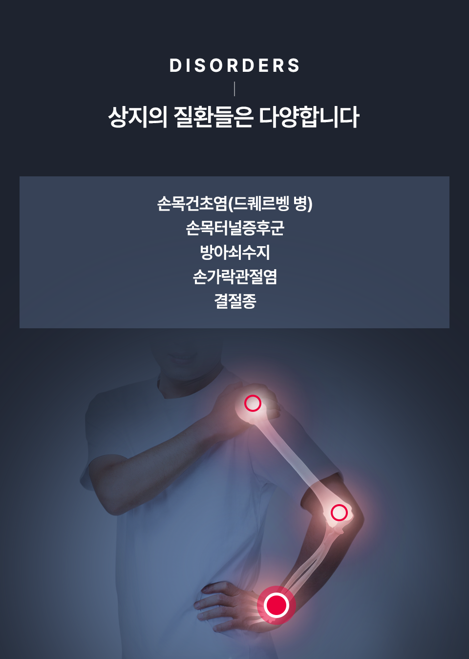 컨텐츠 이미지