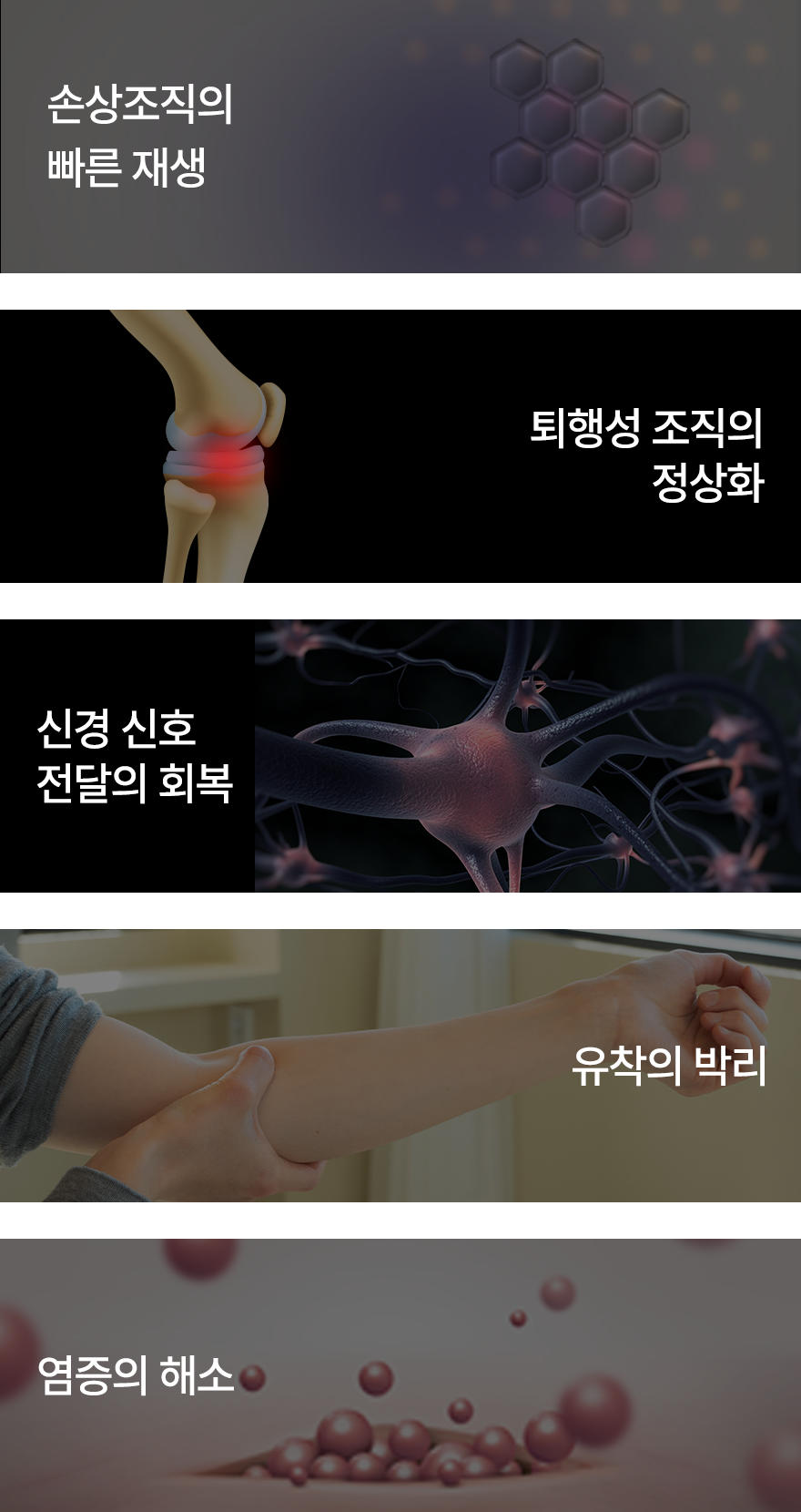 컨텐츠 이미지