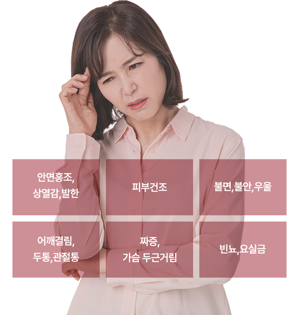 컨텐츠 이미지